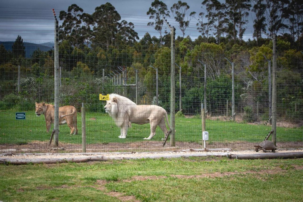 Tenikwa Wildlife Centre & Spa เพลตเตนเบิร์กเบย์ ภายนอก รูปภาพ