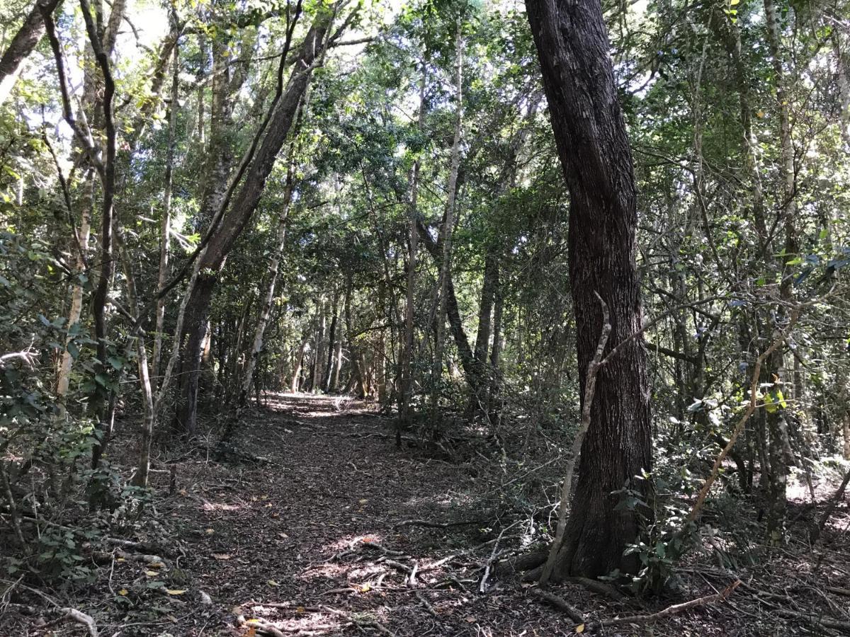 Tenikwa Wildlife Centre & Spa เพลตเตนเบิร์กเบย์ ภายนอก รูปภาพ