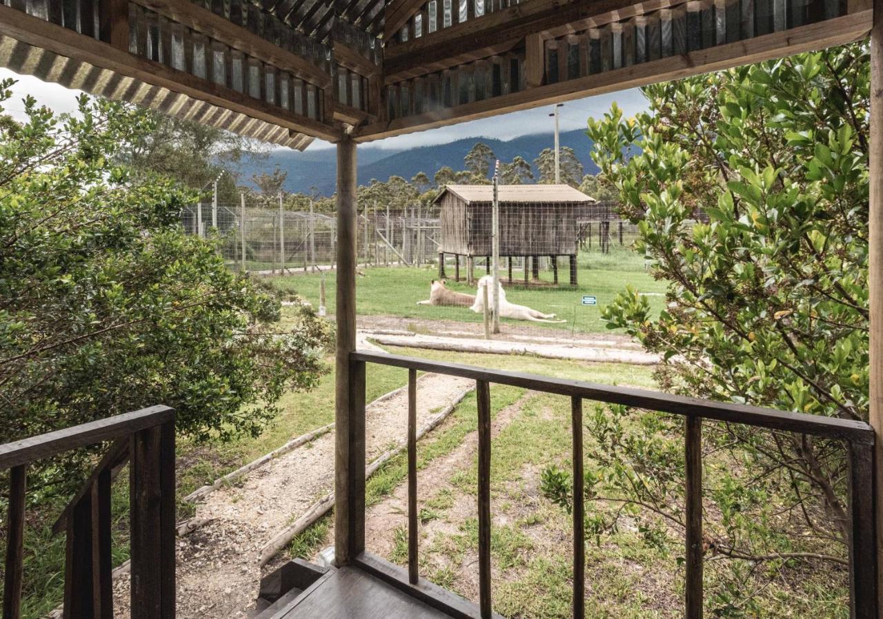 Tenikwa Wildlife Centre & Spa เพลตเตนเบิร์กเบย์ ภายนอก รูปภาพ